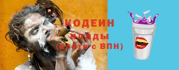 дживик Чердынь