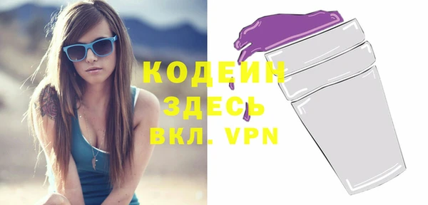 дживик Чердынь