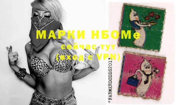дживик Чердынь