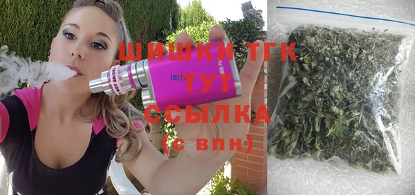 дживик Чердынь