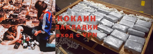 дживик Чердынь