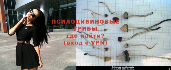 дживик Чердынь