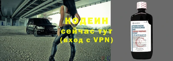 дживик Чердынь